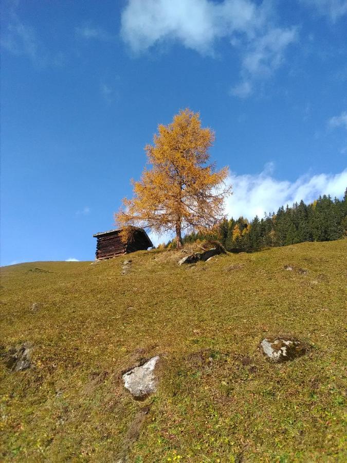 Ferienwohnung Felix-Adults Only Neustift im Stubaital Exteriör bild
