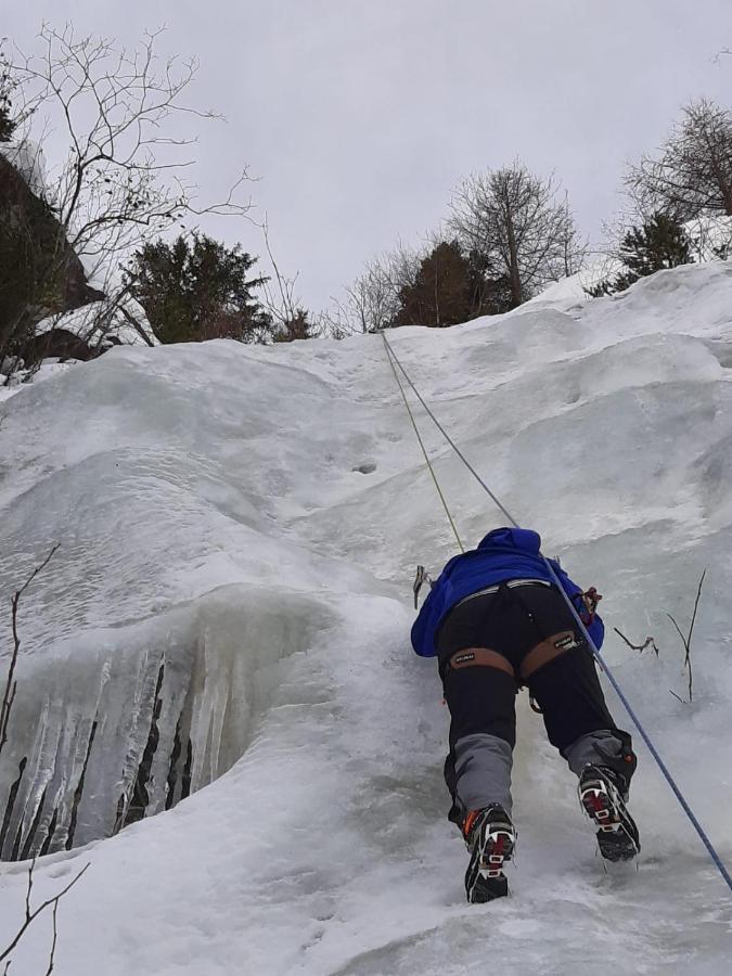 Ferienwohnung Felix-Adults Only Neustift im Stubaital Exteriör bild